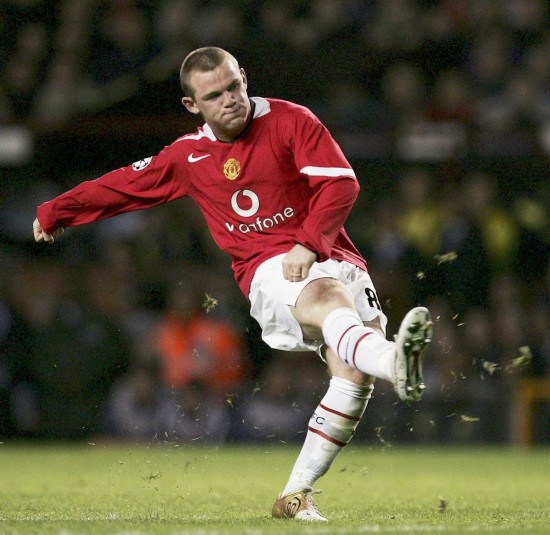 高性价比的 高性价比的