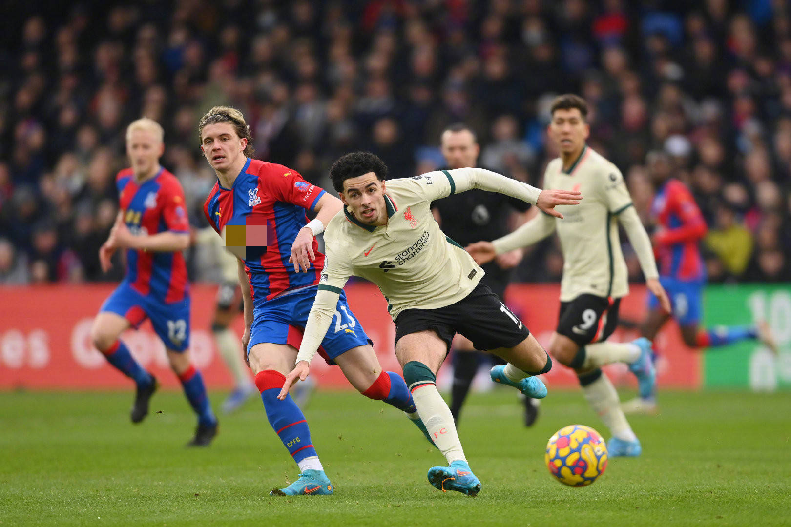 以堅韌的後 以堅韌的後